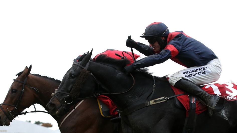 Relentless Dreamer wins at Cheltenham