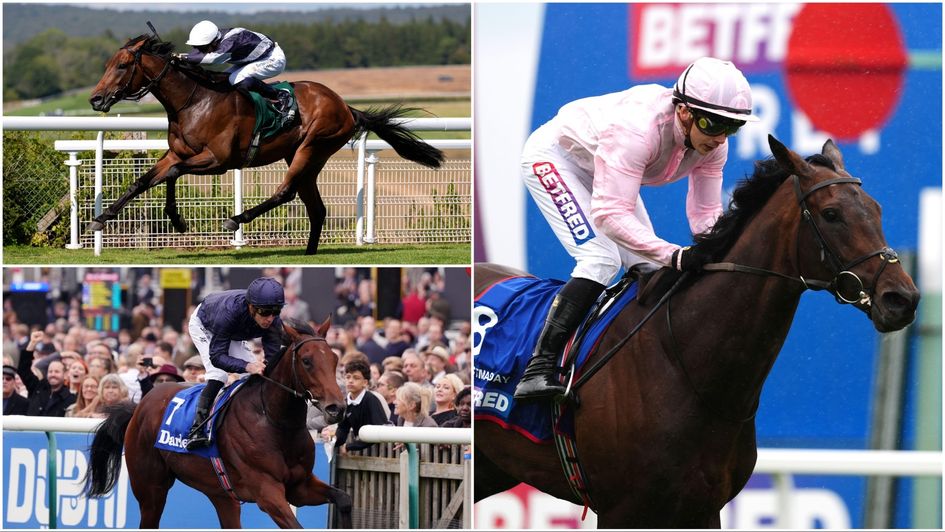 Betfair St Leger preview and tips