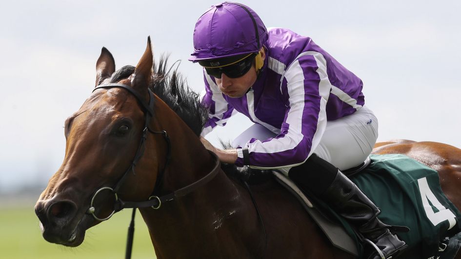 Little Big Bear was hugely impressive in the Phoenix Stakes