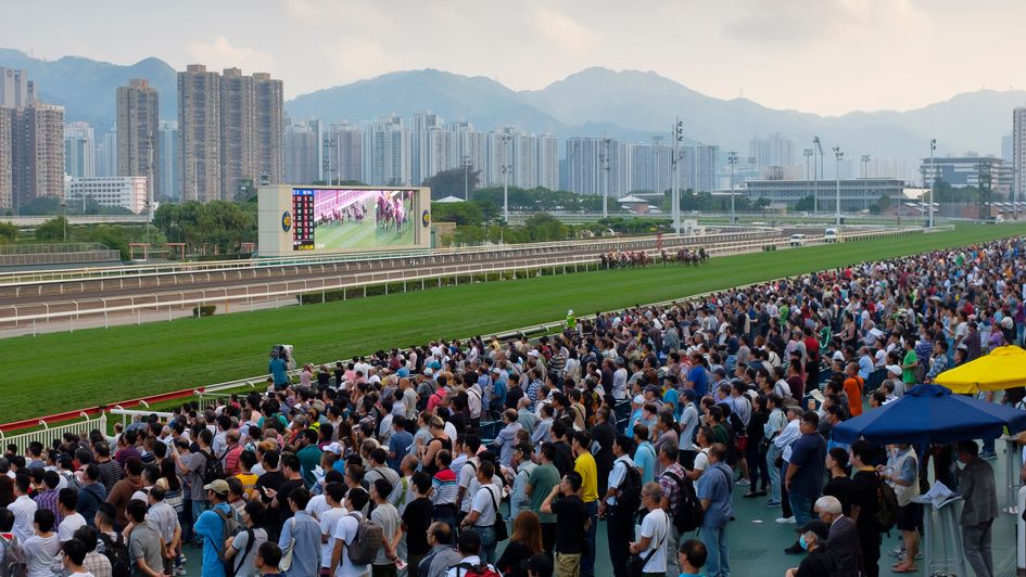 Sha Tin - ready to swing back into action