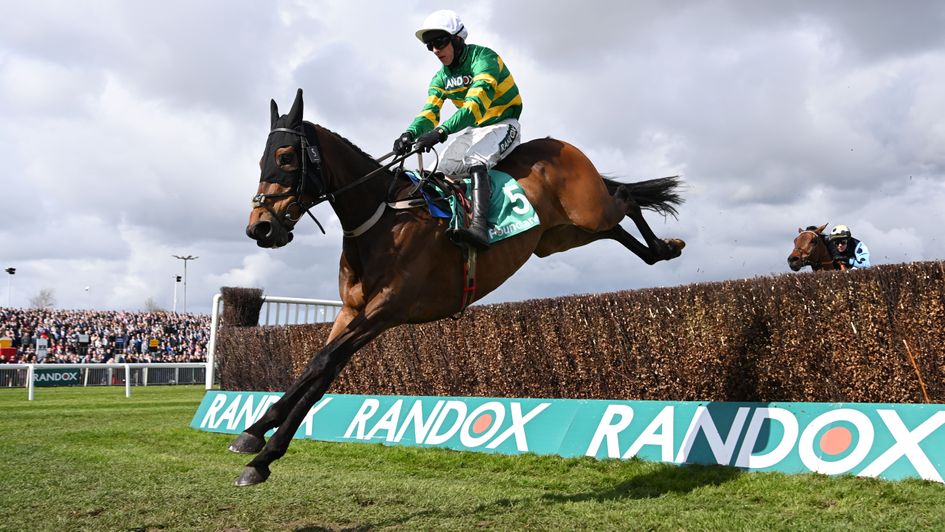 Gentleman De Mee soars over the last