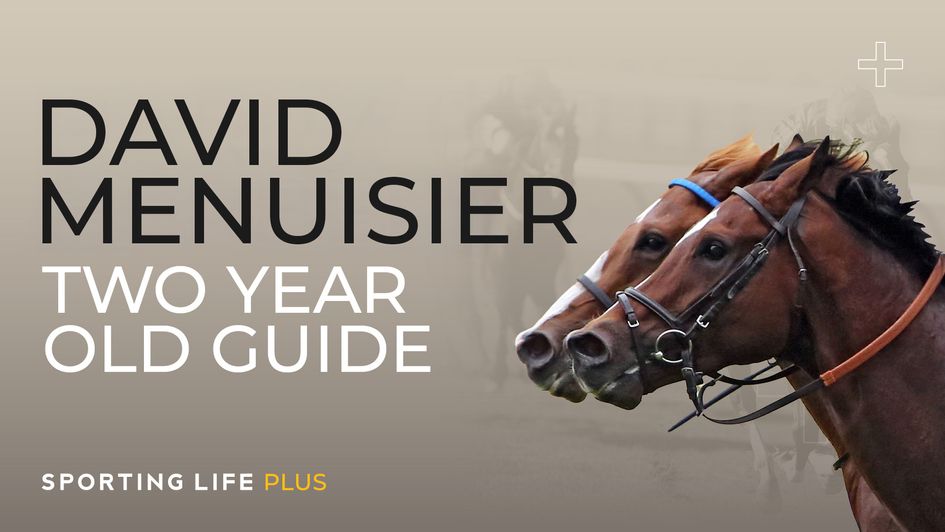 David Menuisier Two-Year-Old Guide