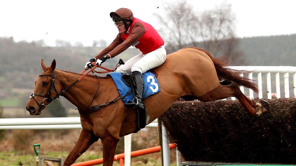 David Maxwell - injured in fall at Wetherby