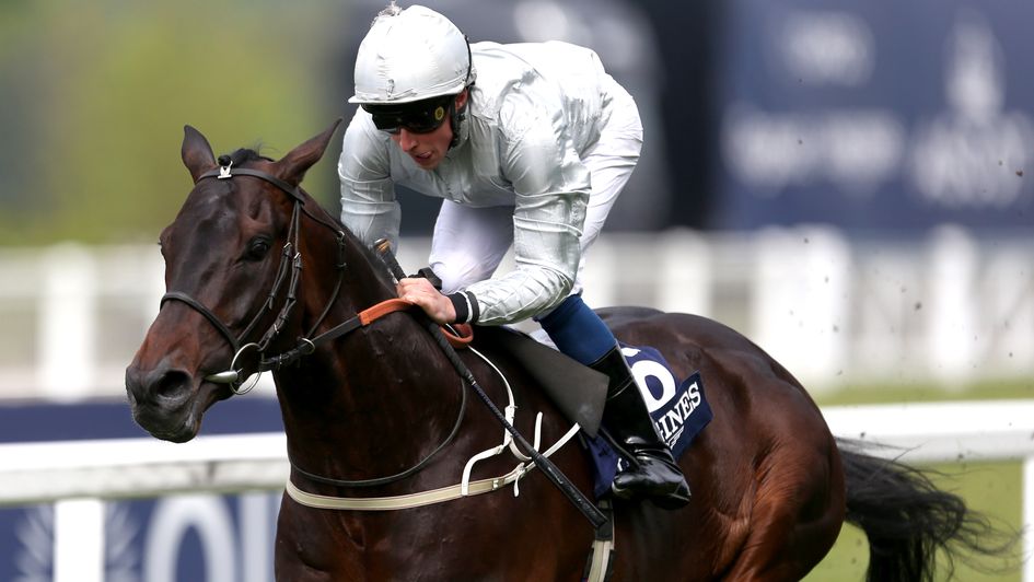 Dee Ex Bee - winning at Ascot