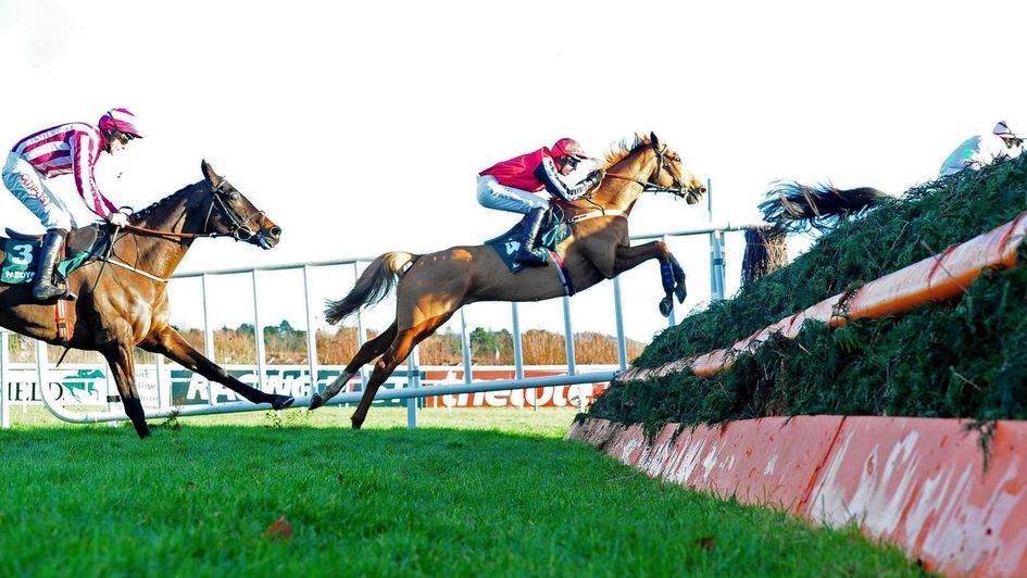 Simply Ned jumps a fence at Leopardstown