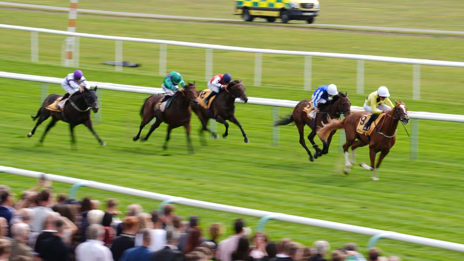 Zeus Olympios wins at Haydock