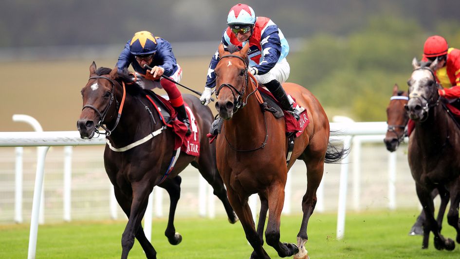 Sir Dancealot wins the 2019 Lennox Stakes