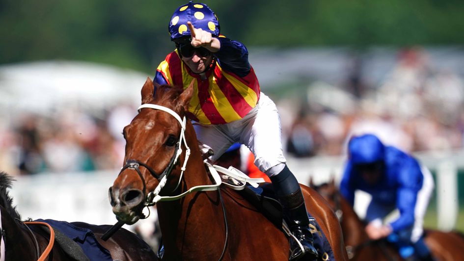 Nature Strip is a brilliant winner of the King's Stand