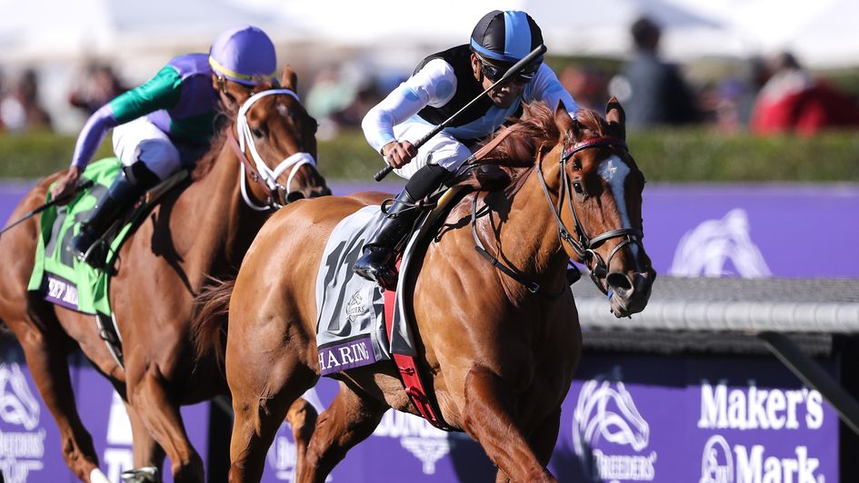 Sharing won at the Breeders' Cup