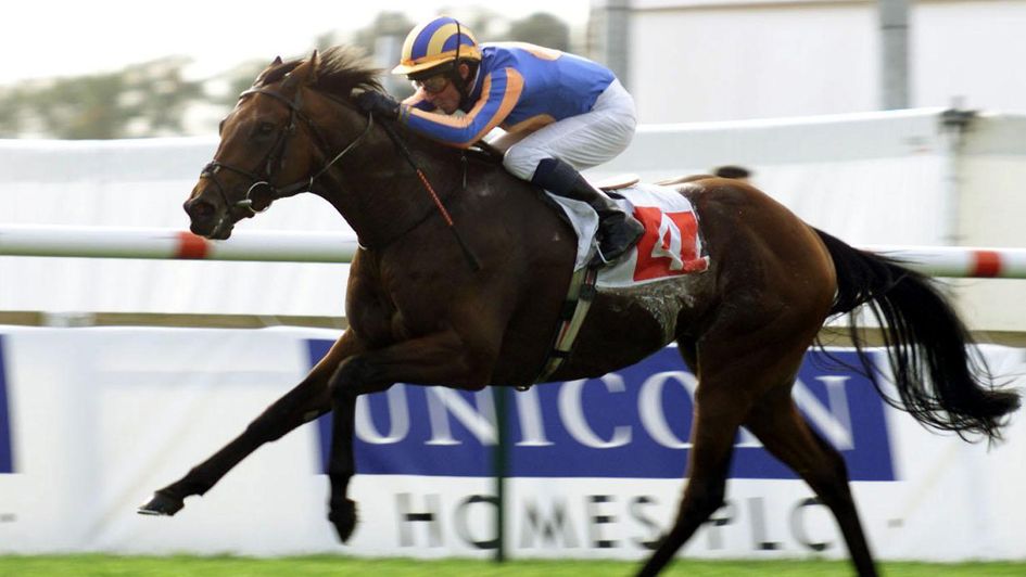 Johannesburg in action