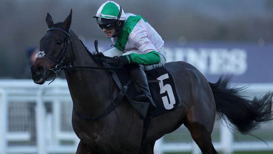 Wilful is a big winner for the O'Neills