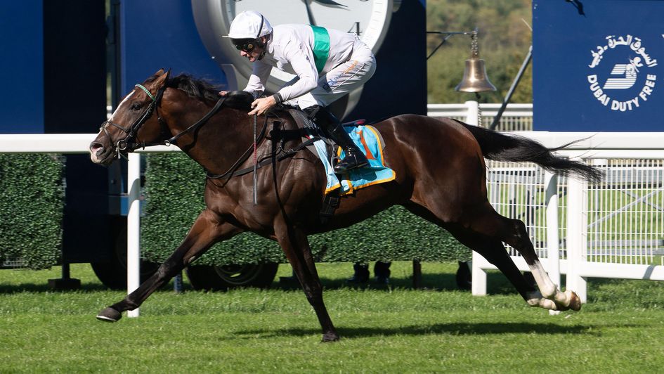 Gavriel - warm favourite for the Cambridgeshire