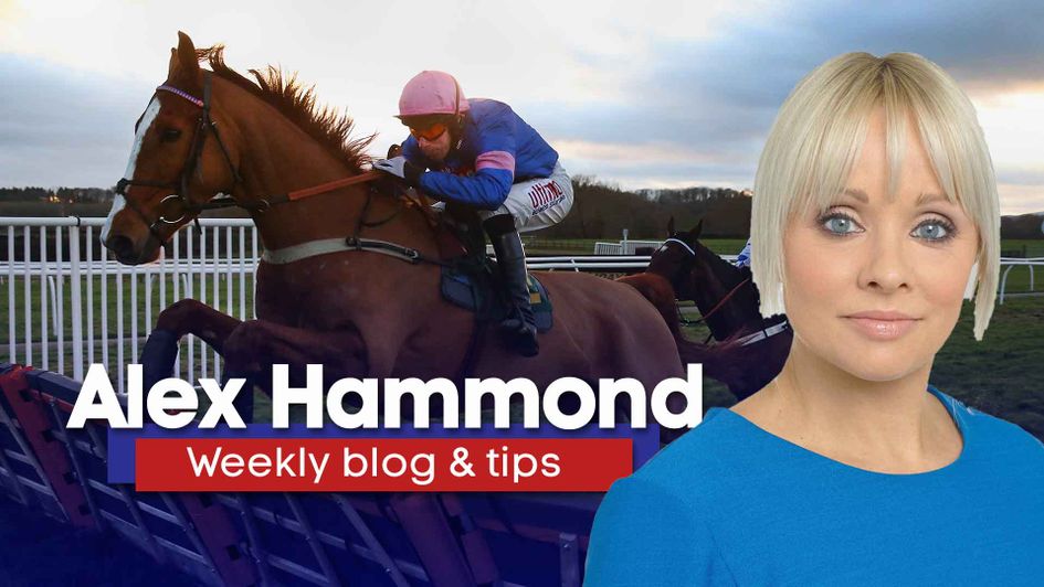 Alex Hammond looks ahead to the weekend's racing
