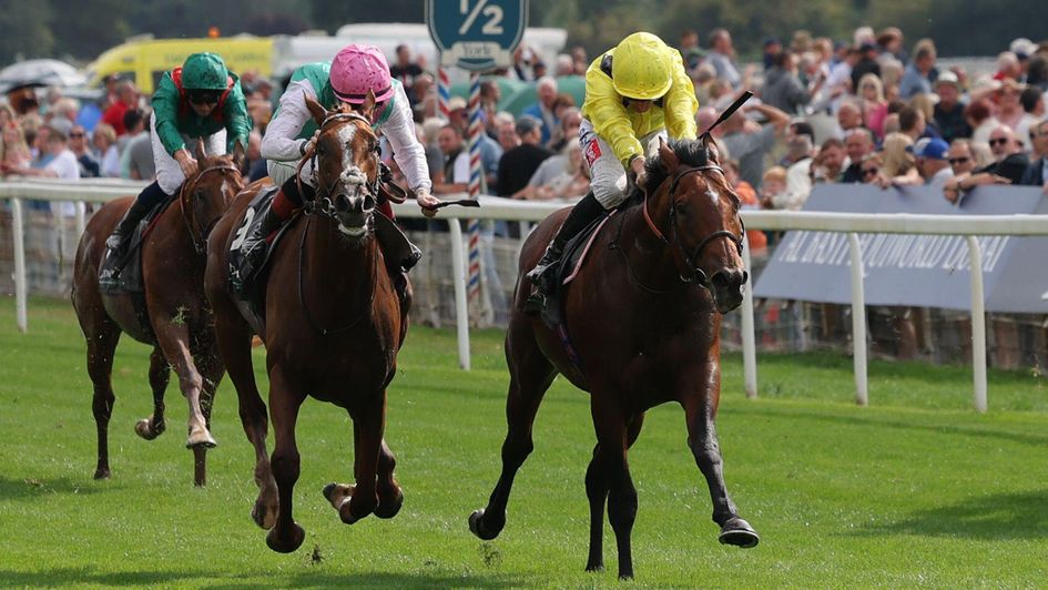 Item (left) gets the better of Almaqam at York
