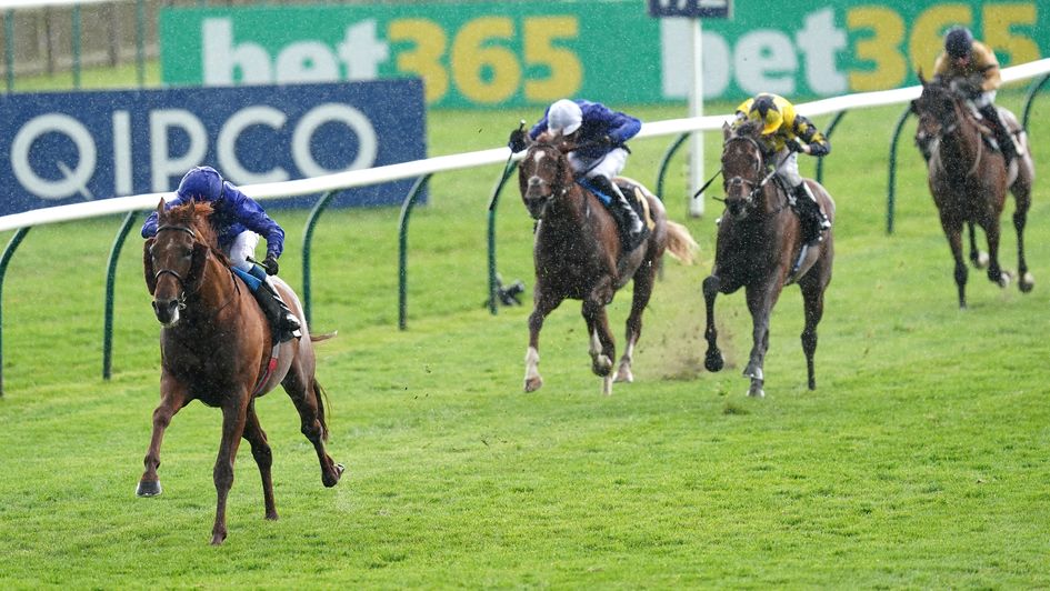 Hurricane Lane routs his rivals in the Newmarket rain