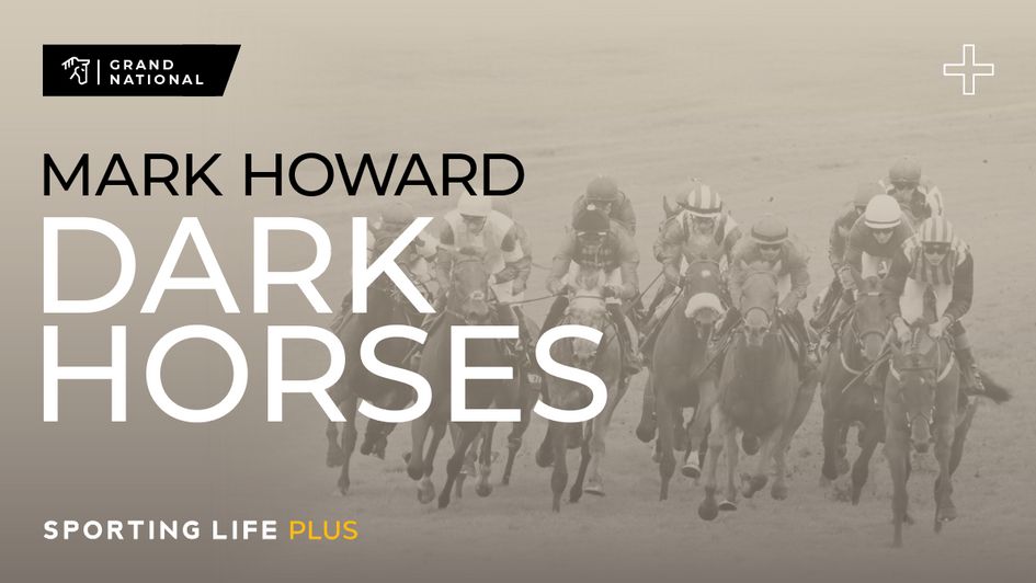 Don't miss the latest horses to follow