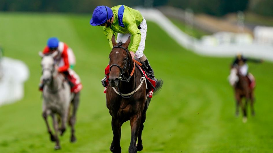 Joe Fanning looks around for his non-existent rivals on Subjectivist