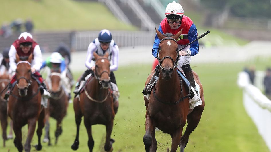 Mehdaayih spreadeagles her field at Chester