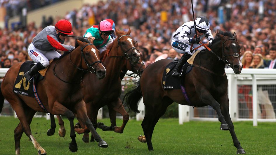 Raising Sand wins the International Handicap