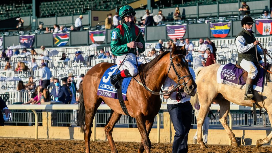 Colin Keane and Tarnawa make their way back to the winners' circle