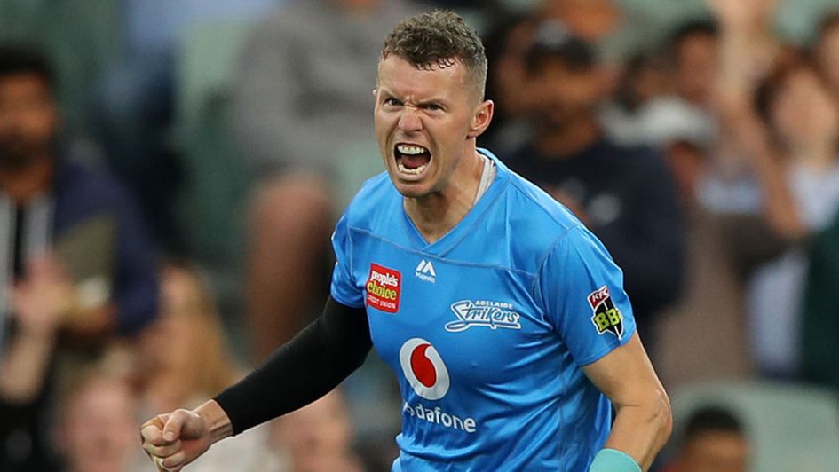 The evergreen Peter Siddle