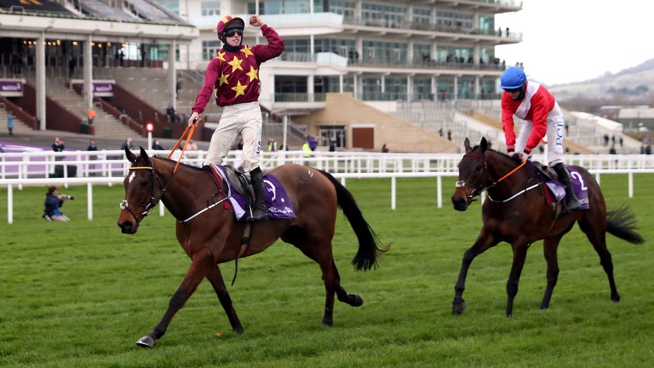 Gold Cup winner Minella Indo