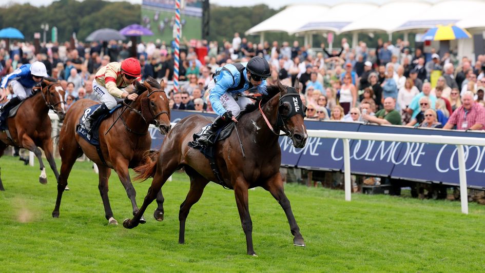 Asfoora is well on top in the Nunthorpe