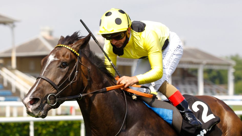 Fifth Position has been in great form this year