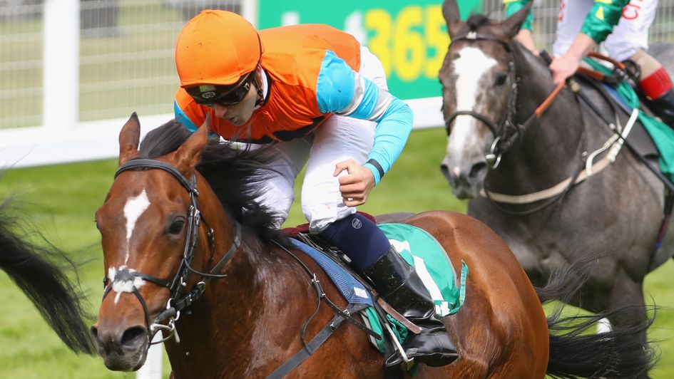 Robert Tart - winning return to the saddle