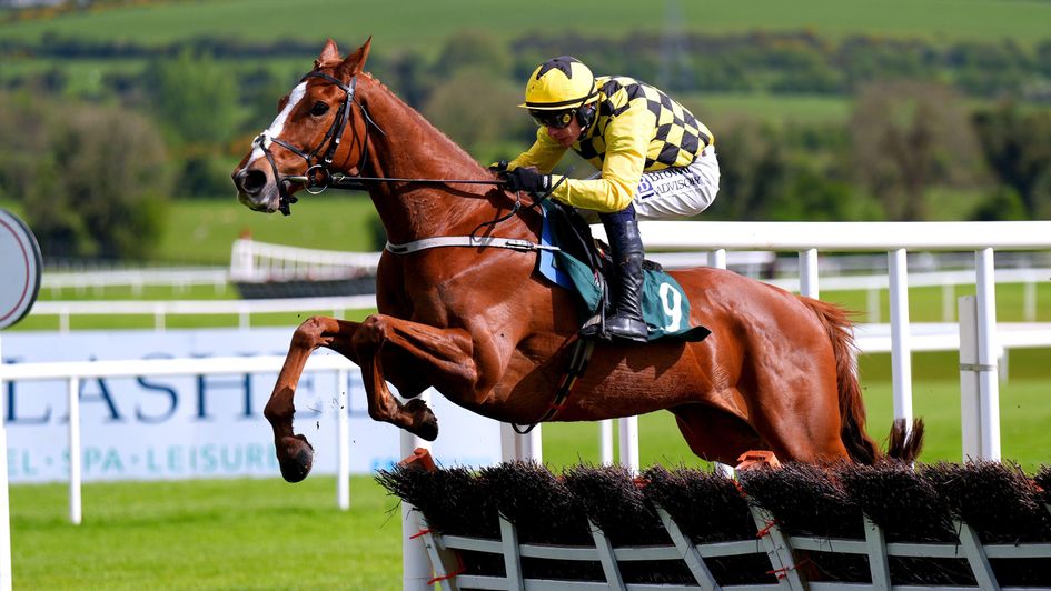 Daddy Long Legs is a cut above his rivals