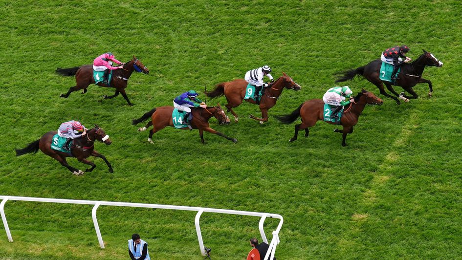 Dream Composer wins the Dash