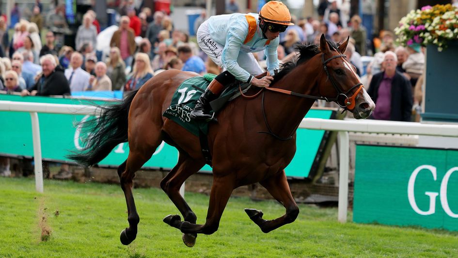 Song of The Clyde wins under Rossa Ryan