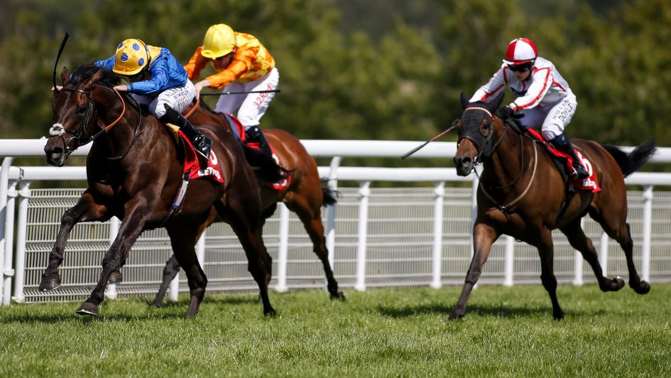 Poet's Word puts the race to bed at Goodwood