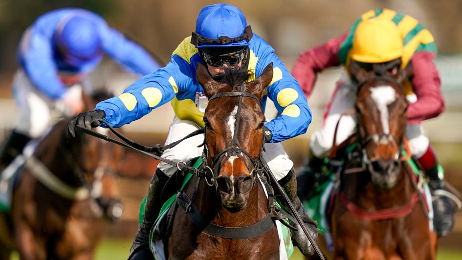 Langer Dan saunters to victory in the Paddy Power Imperial Cup