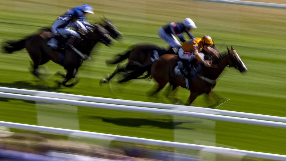 Documenting wins at Newbury