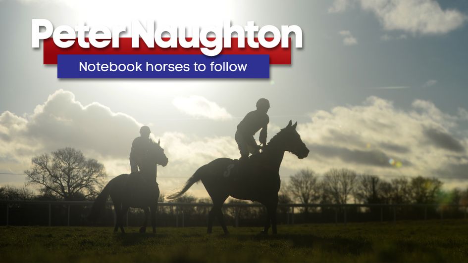 Peter Naughton with horses to add to your My Stable tracker