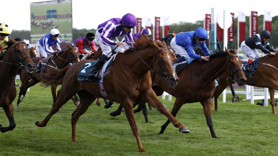 Bertinelli comes out on top