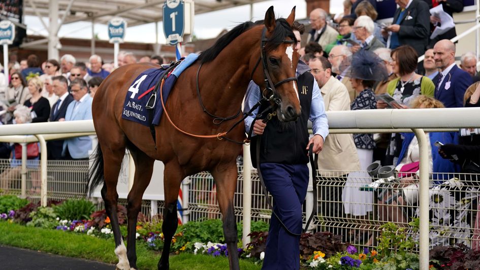 El Bodegon pictured before the Dante Stakes