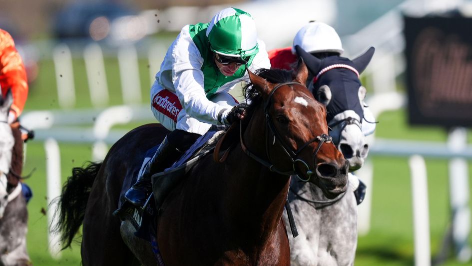 Aramram gets on top late to win the Cammidge Trophy