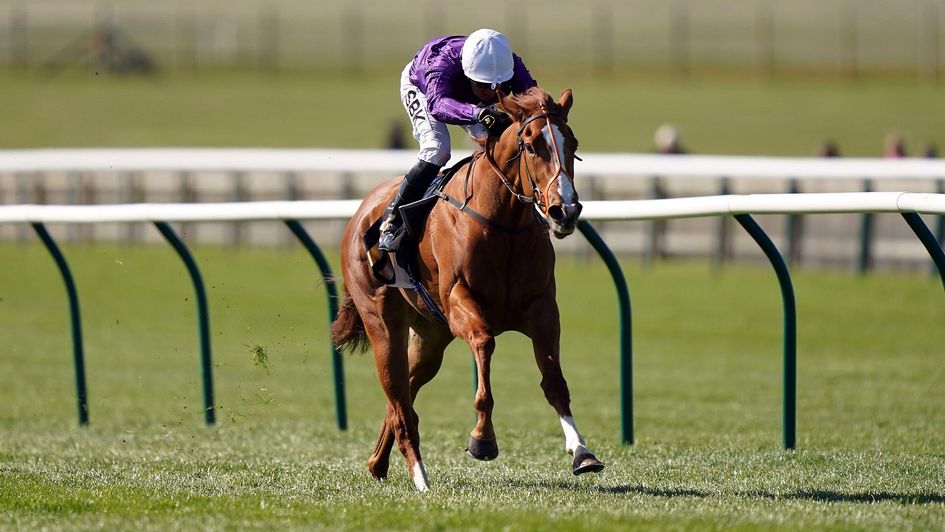 Mamma's Girl is out on her own in the Nell Gwyn