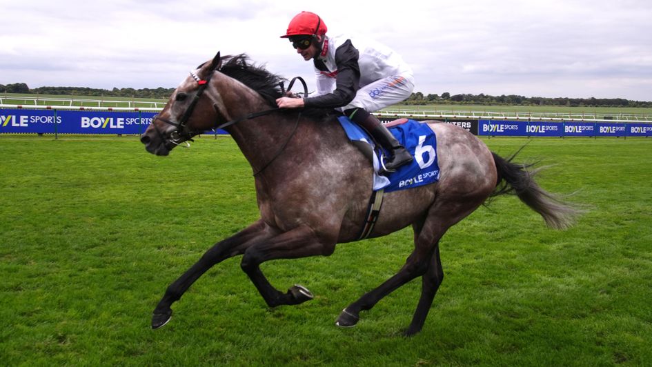 Lion's Pride is away and clear at Newmarket