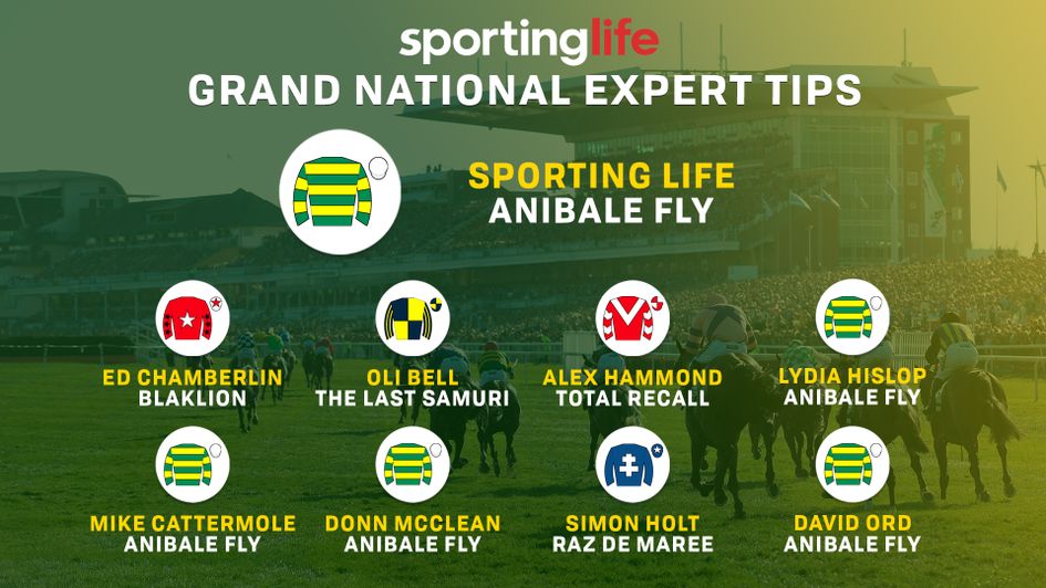 The Sporting Life Grand National tips