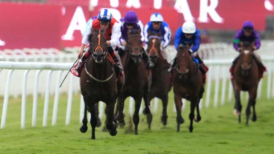 Positive in action at Goodwood