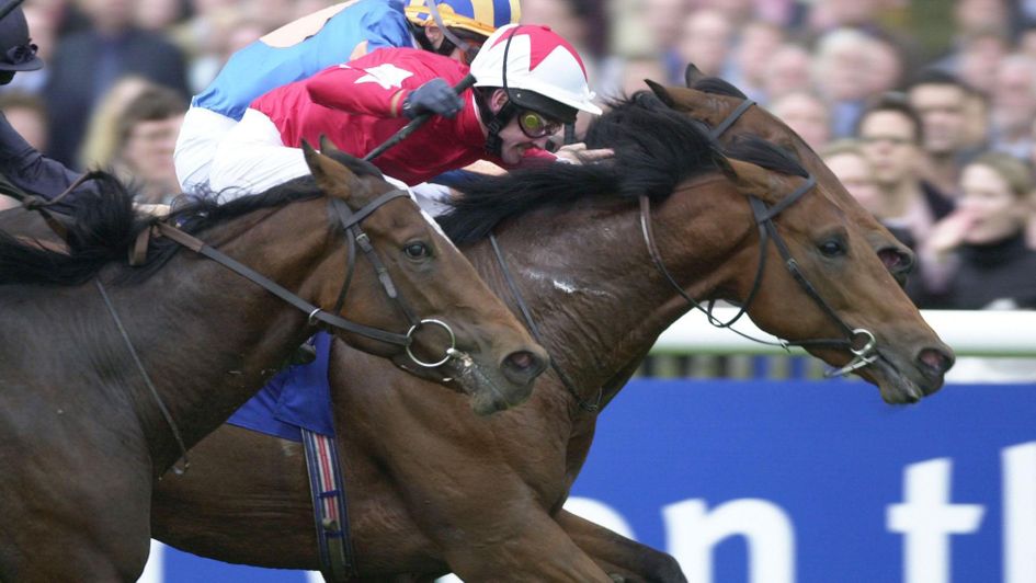 Rock Of Gibraltar pictured winning the Dewhurst