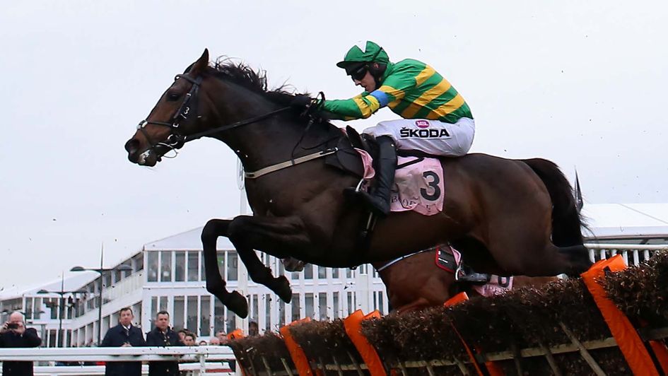 The JP McManus-owned Brazil in full flight