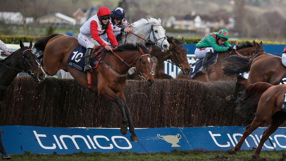Pacha Du Polder wins again at Cheltenham