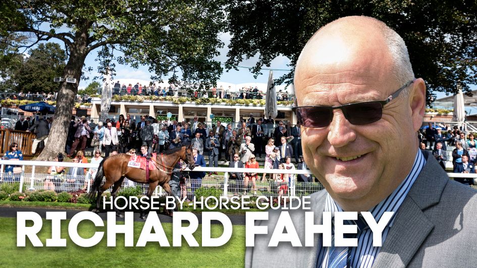 Don't miss Richard Fahey's latest column