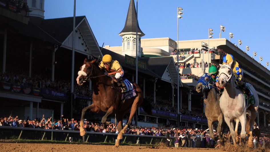Saturday tips for the Breeders' Cup at Churchill Downs