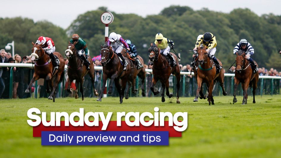 Check out the latest daily racing preview