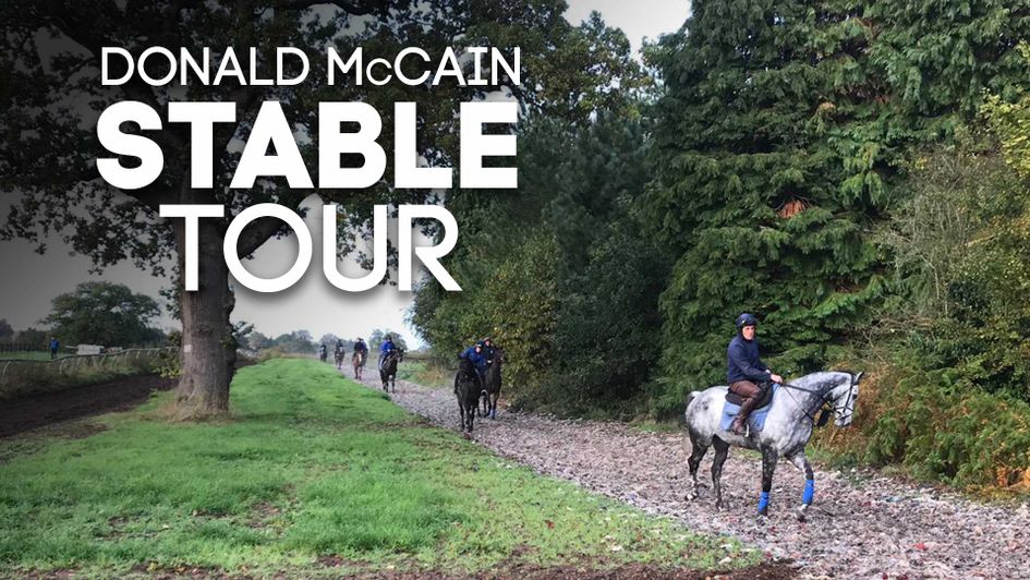 We visited Donald McCain's stable to get the latest on the team